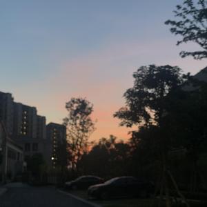 污网站大全免费
