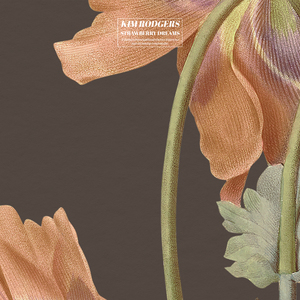 污网站大全免费
